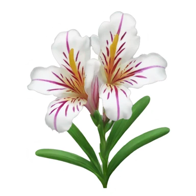 Alstroemeria sticker