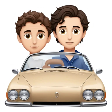 chalamet and man on hood sticker