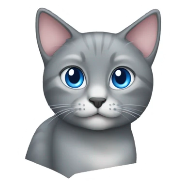 grey cat blue eyes sitting in the box  sticker