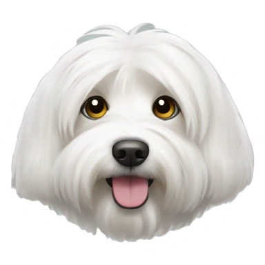 coton de tulear sticker