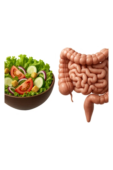 bowl di insalata fluttua in aria insieme ad intestino umano anatomico realistico, IPERREALISTICO 4K sticker