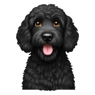 Black labradoodle  sticker