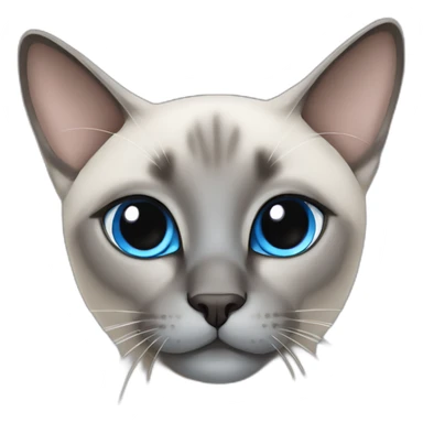 cute grey siamese cat with blue cross-eyed sticker