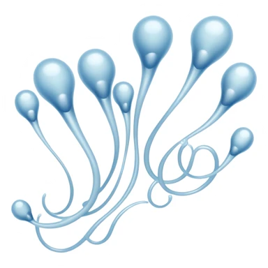 Sperm sticker