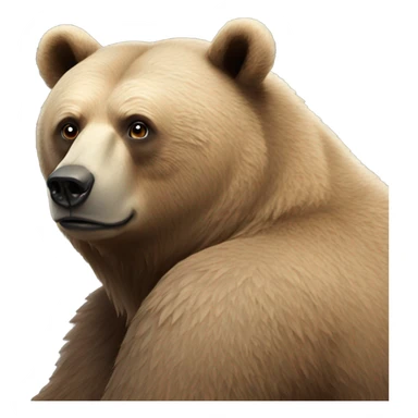 the bear is watching sticker