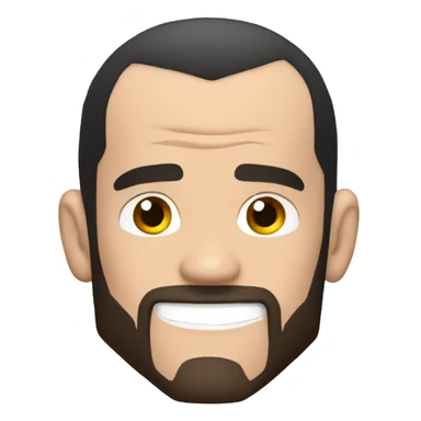 Cm punk sticker