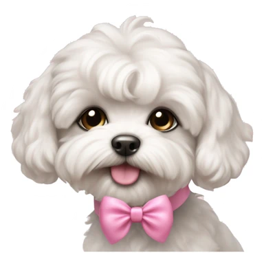 Schichon puppy pink bow  sticker