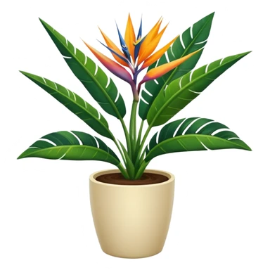 Bird of paradise leafy plant in cream pot  sticker