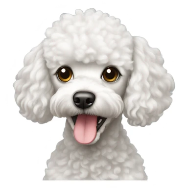 White toy poodle sticker