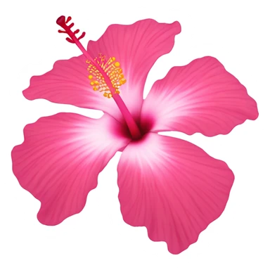 Pink hibiscus flower sticker