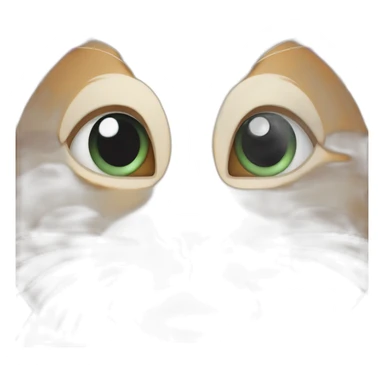 Cat wearing nails sticker