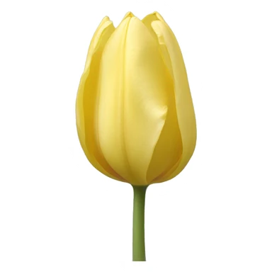 Single pastel yellow tulip sticker