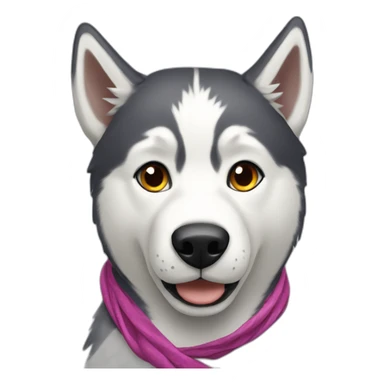 a husky with a foulard on his head sticker