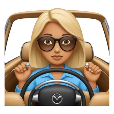 follow me car sticker