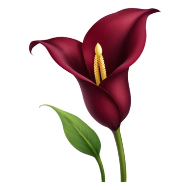 burgendy calla lily sticker