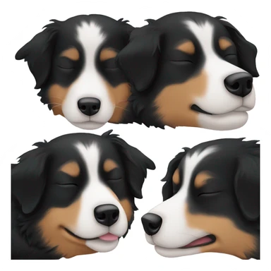 Small black australian shepherd dog sleeping  sticker