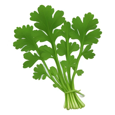 cilantro with black ground sticker