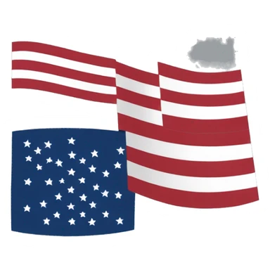 Half brail nd half USA flag sticker