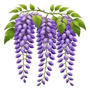 wisteria vine sticker