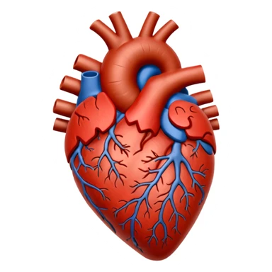 Brown anatomical heart  sticker