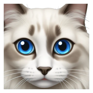 Ragdoll cat with blue eyes sticker