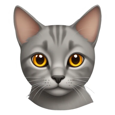 Grey straight-eared Scottish cat with orange eyes sticker