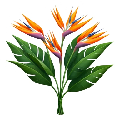 luxuriant, big bouquet Strelitzia Reginae, stem, leaf sticker