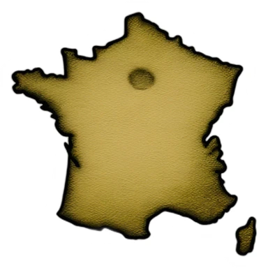 Carte de la France sticker