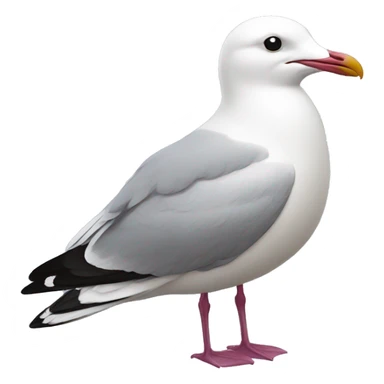 gull animal sticker