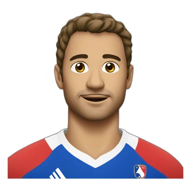 XV of france sticker