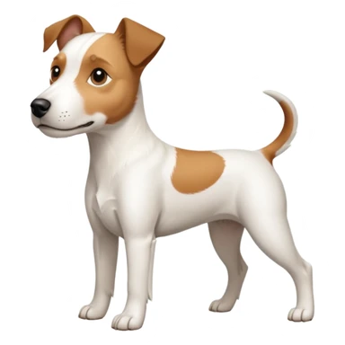 a full body large white parson russell terrier looking dog the size of a kelpie with light brown long ears and a light brown patch on one eye and a large snout sticker