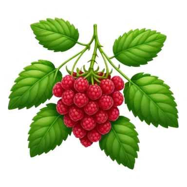 rasperry bush sticker