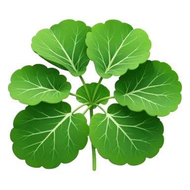 Centella asiatica  sticker