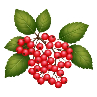 Red viburnum sticker