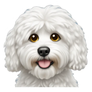 white fluffy cavapoo sticker