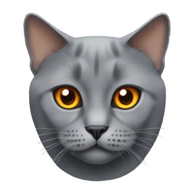 grey british cat with dark orange eyes sticker