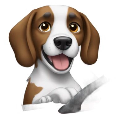 Black and white Dog driving bmw m5 car  sticker