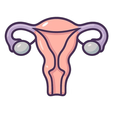 female uterus front view, icon-color-outlined style, detailed shadows and highlights, thin clean contours, soft rounded shapes, pastel palette #98B5BC, #B5B3C1, #C9A3C9, #E4C0CA, #F7DCD1, #F7C0AA, modern Japanese pop art and sticker aesthetic, soft lighting, transparent background sticker