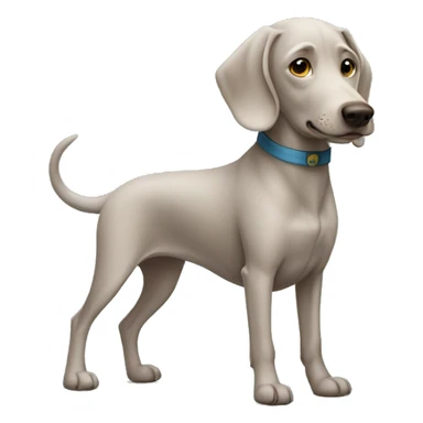 Weimeriner dog sticker
