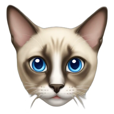 cat-siamese-with-blue-eyes sticker