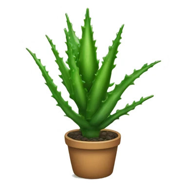 Aloe plant  sticker