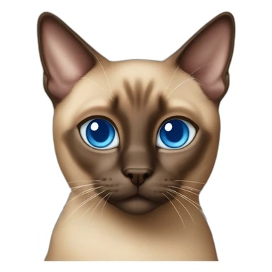 Brown siamese cat with blue squint eyes sticker