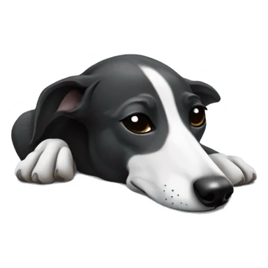 black and white Greyhound sleeping sticker