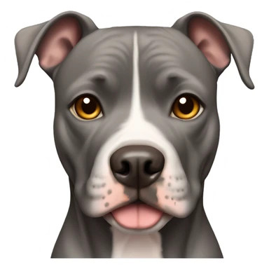 Black american pitbull terrier with light brown eyes sticker