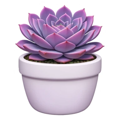 Purple Heart-shaped echeveria succulent in white pot sticker