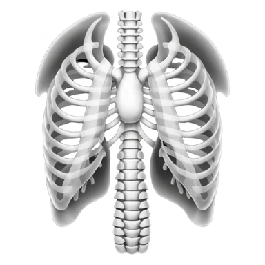 Ribcage X ray sticker