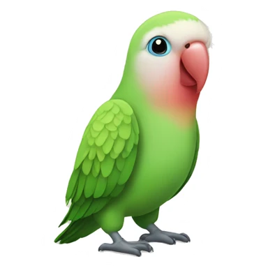 Lovebird with one foot sticker