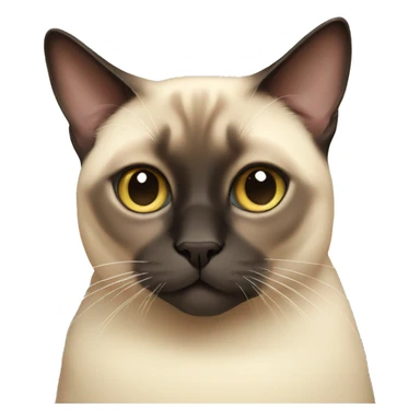 Fat Siamese cat sticker