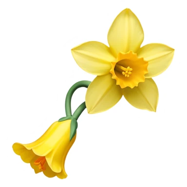 Daffodil  sticker