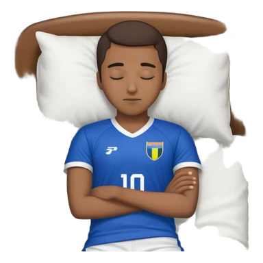 Pigeon, soccer sleeping  sticker